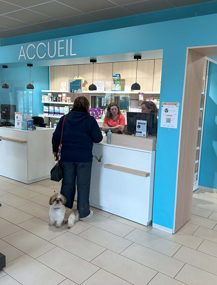 VB-Clinique-Dol-1 Accueil clinique vétérinaire Dol de Bretagne