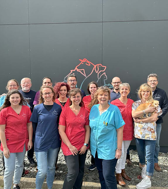 équipe vétérinaire Vétos de la baie