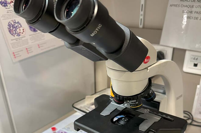 Laboratoire vétérinaire, analyses médicales