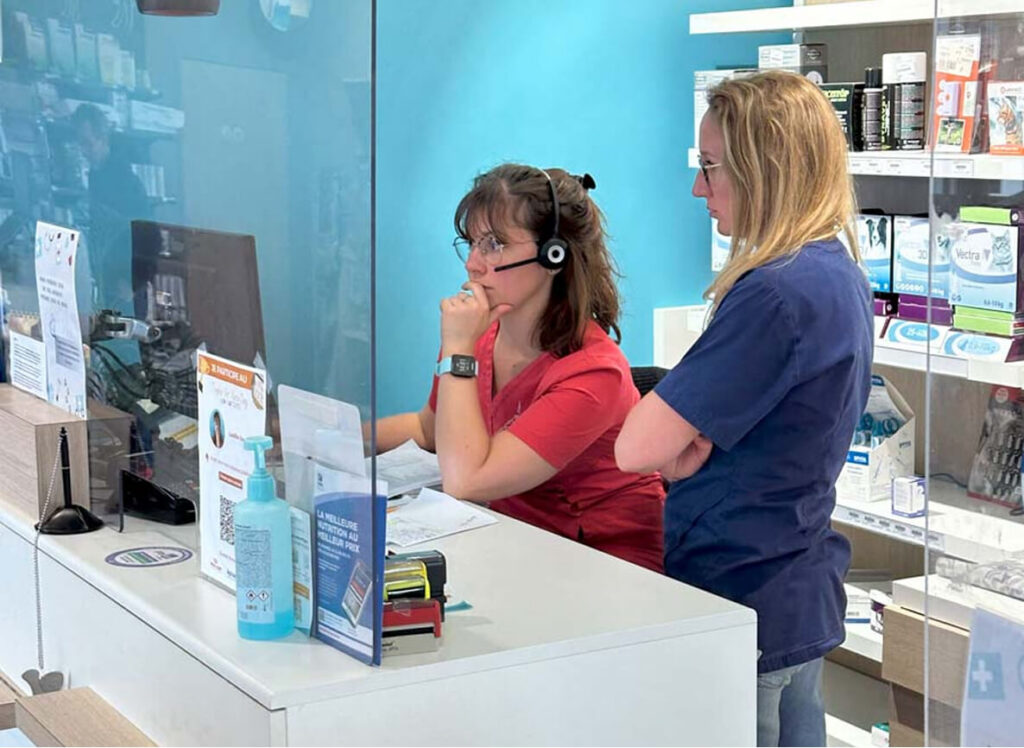 Rendez-vous vétérinaire en ligne à Dol de Bretagne