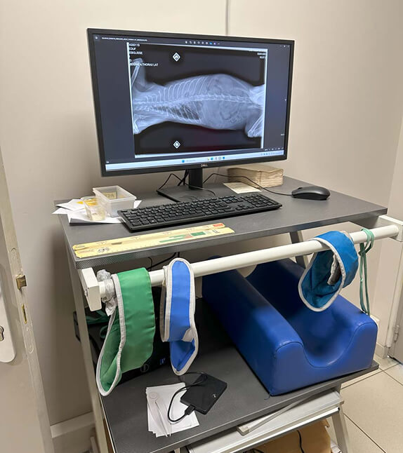 Imagerie vétérinaire